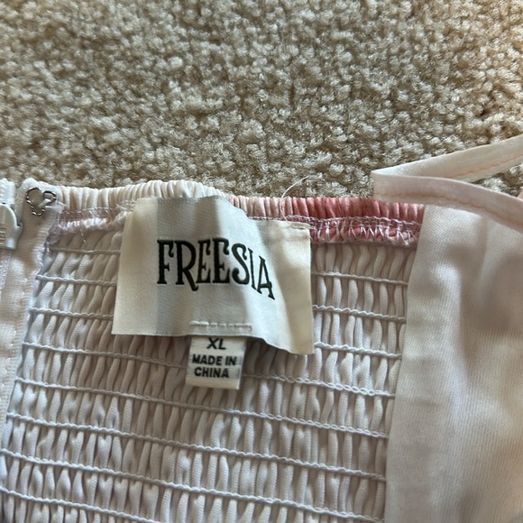 Freesia Chiffon Bustier Mini Dress Size XL Pink Ivory Spaghetti Straps NEW - Picture 11 of 15